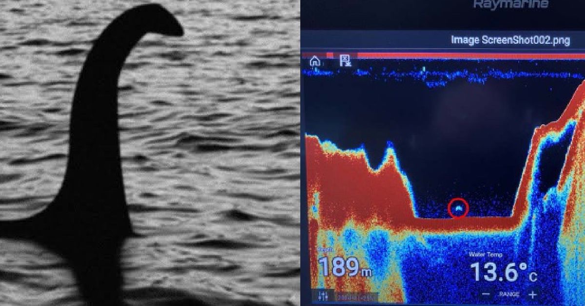 The Loch Ness Monster Nessie Sonar